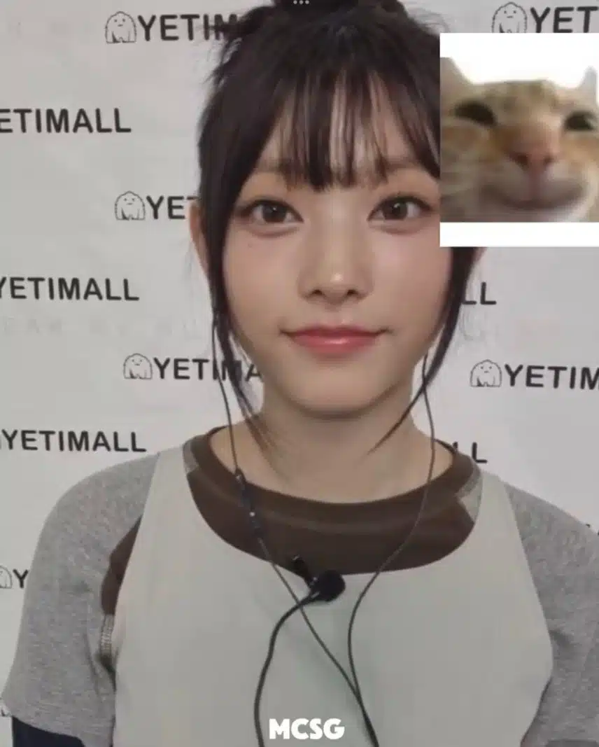 해린이 어제?영통 진짜 고양이그자체🐱