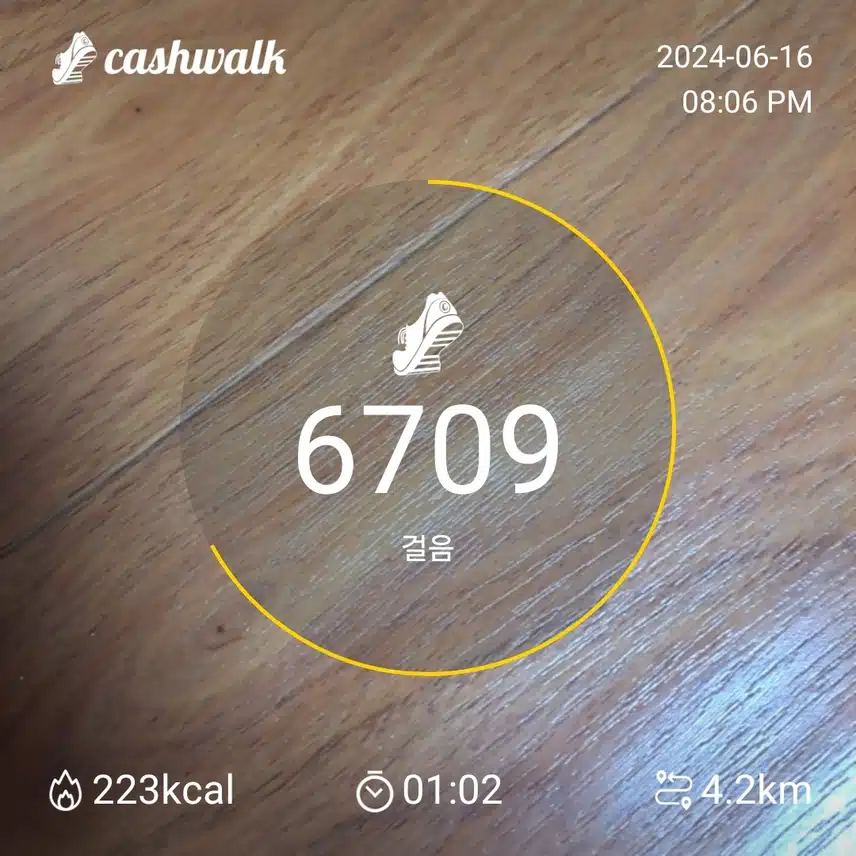 6200보걷기 인증
