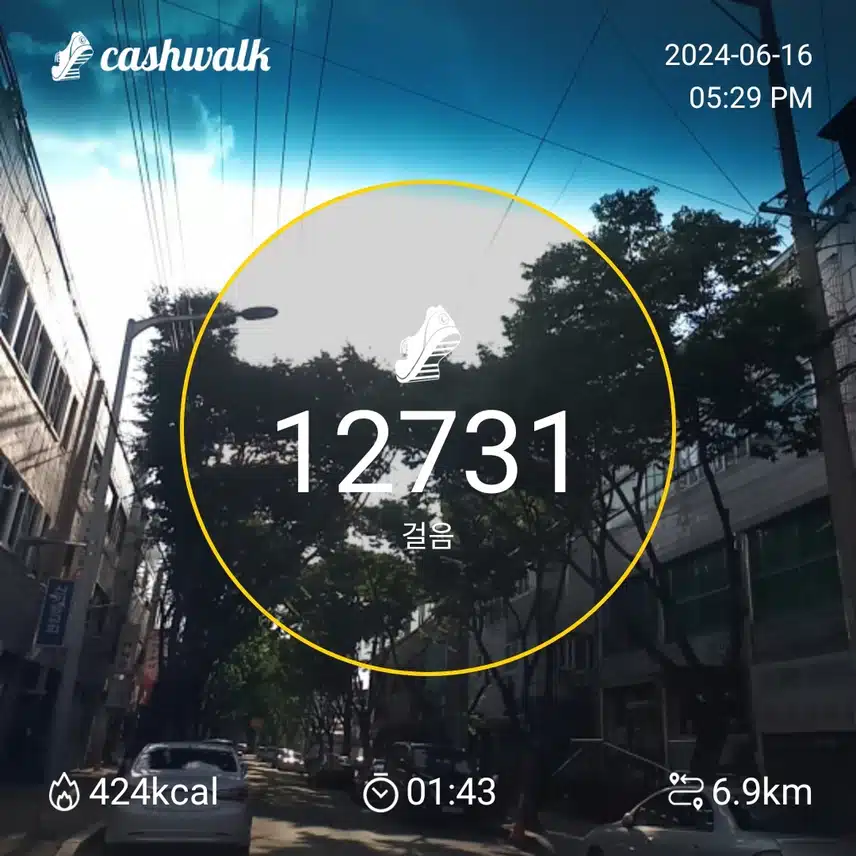14일차