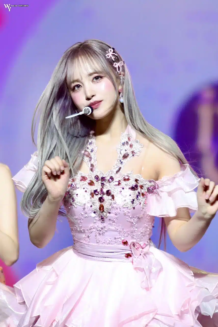 핑크 고양이🐱리즈 완전 공주님🩷