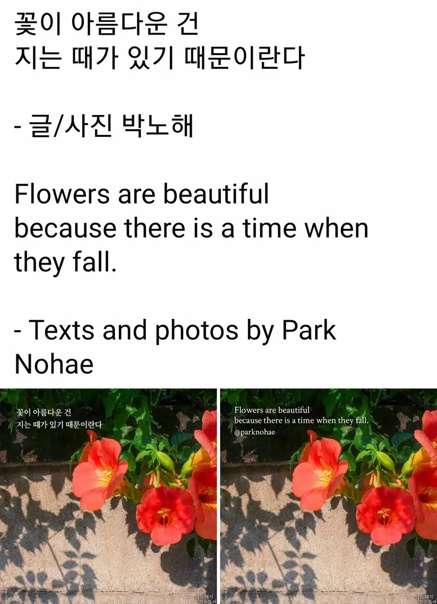 꽃이 아름다운 건~박노해