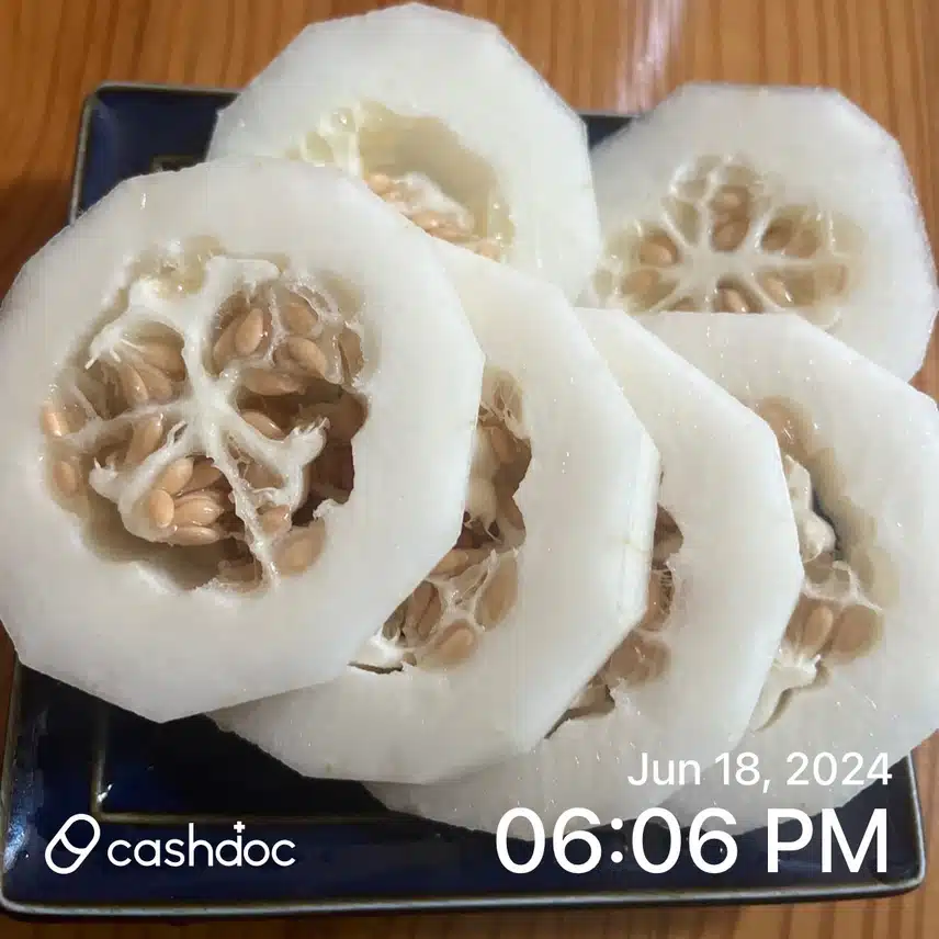 제철 참외로 치매와 암 예방 해요.(참외 효능)