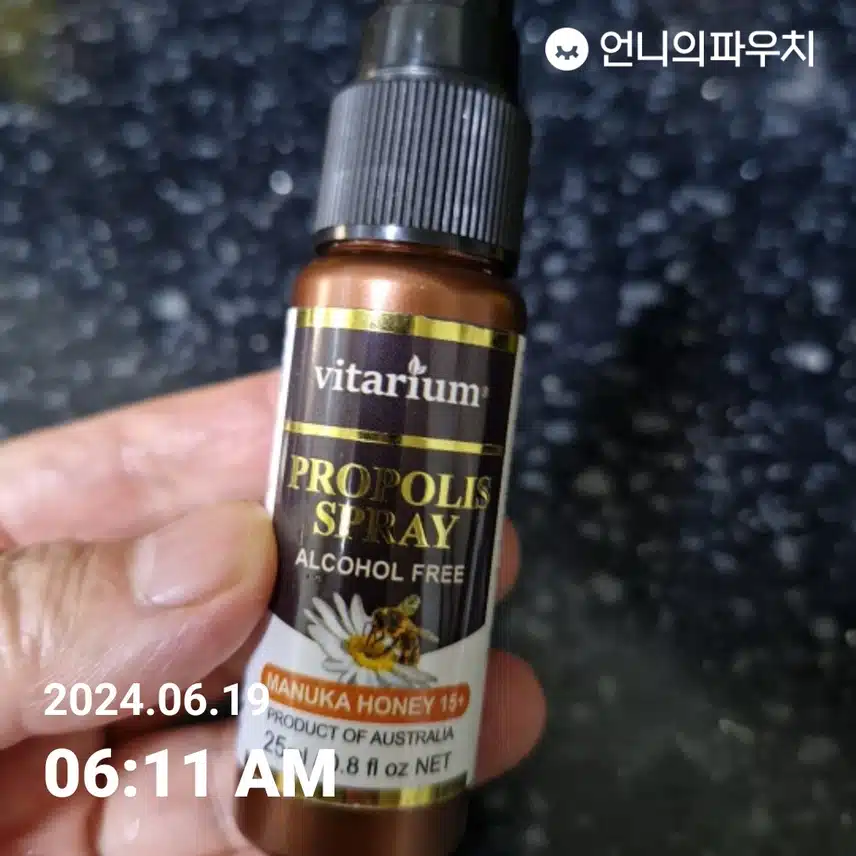 프로폴리스 