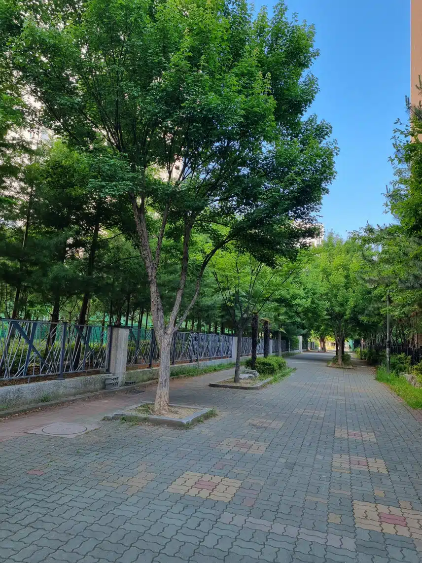 아침 🌄 아침운동 