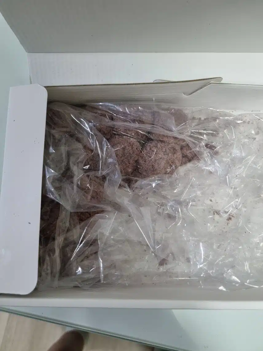 담백촉촉 영양간식 수수경단