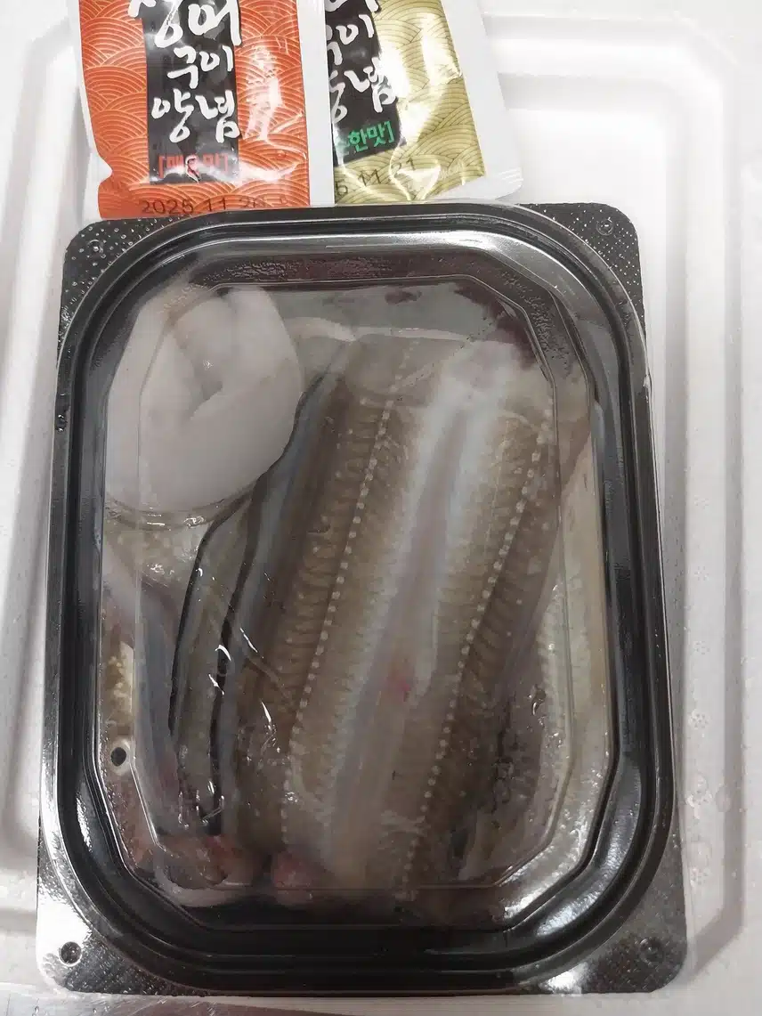 통영 바다장어