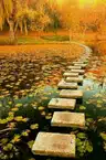 board-img