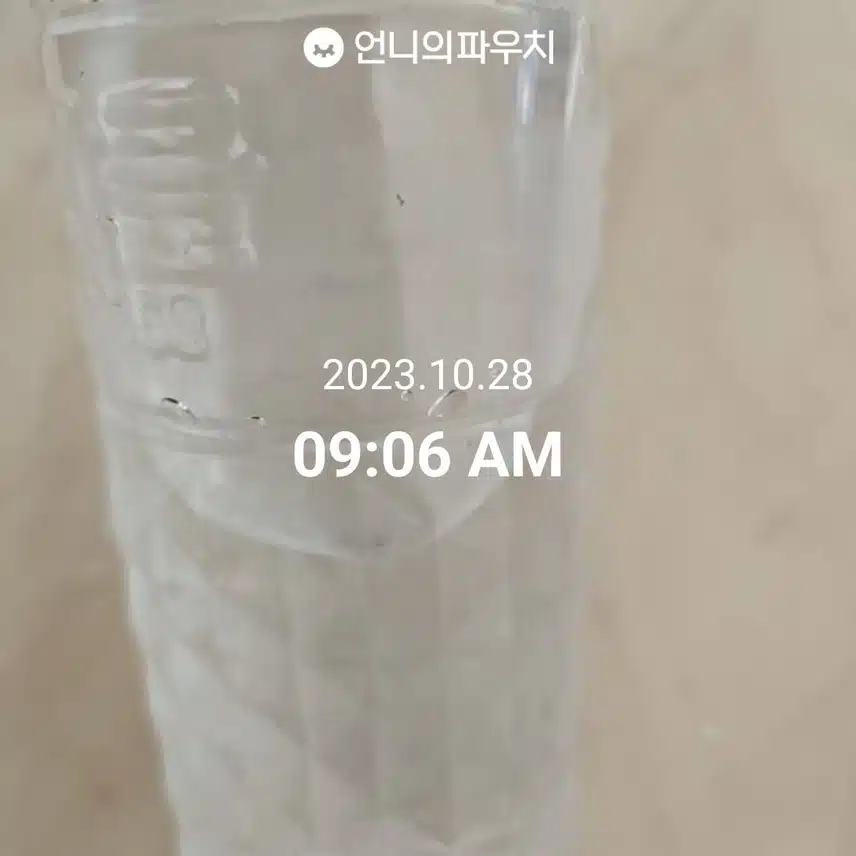 10월28일 토요일 