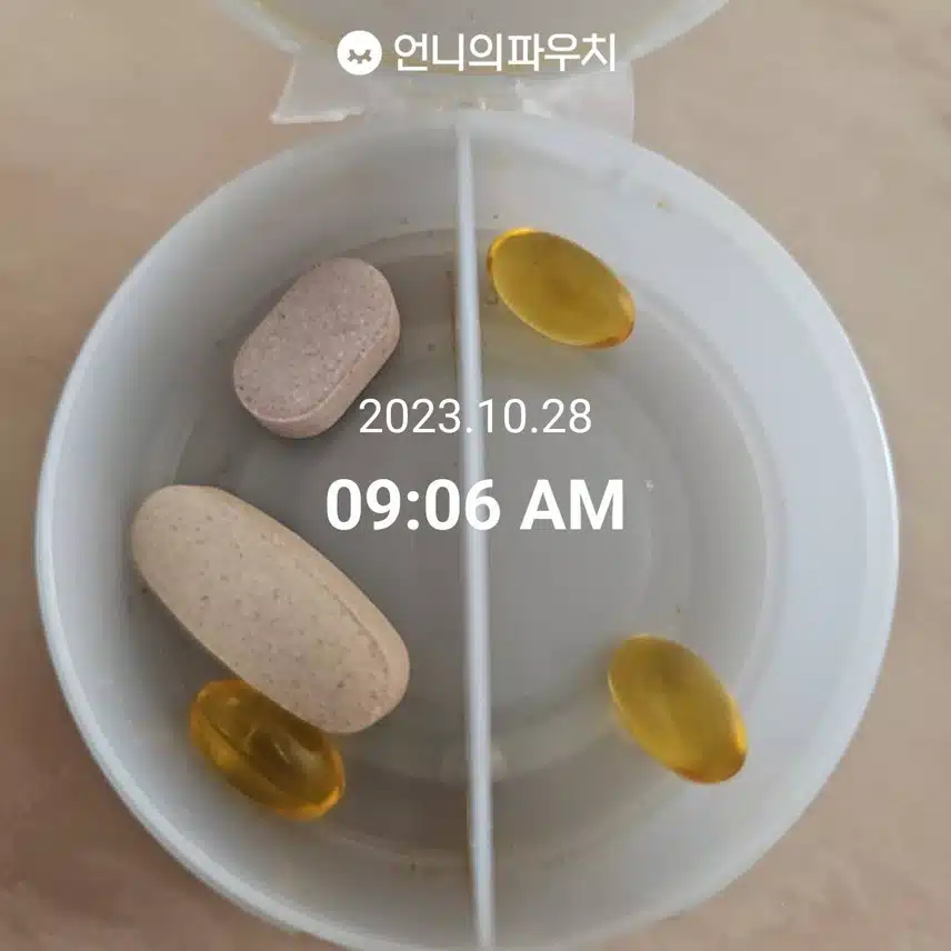 10월 28일 영양제