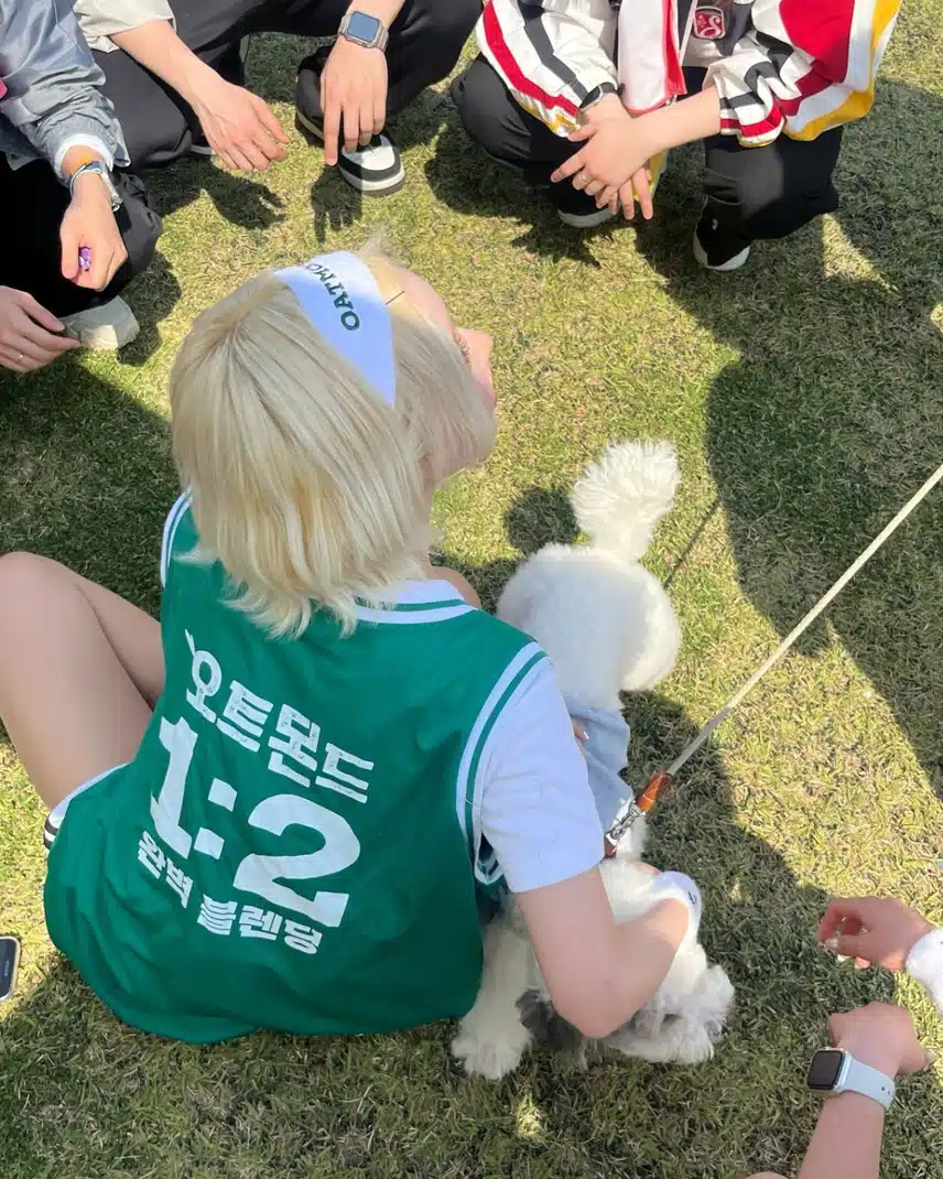 발랄한 강아지 같은 다영 인스타 업뎃