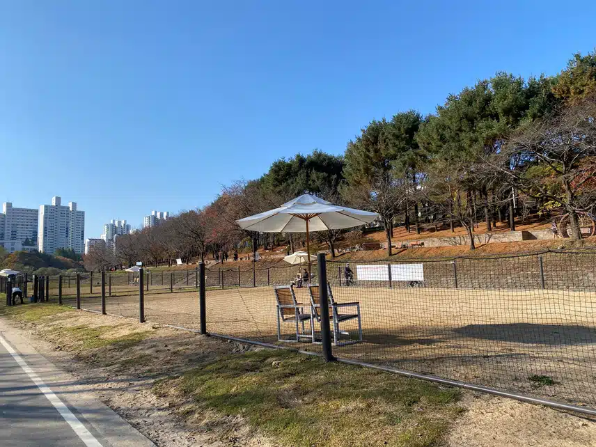 반려견놀이터~