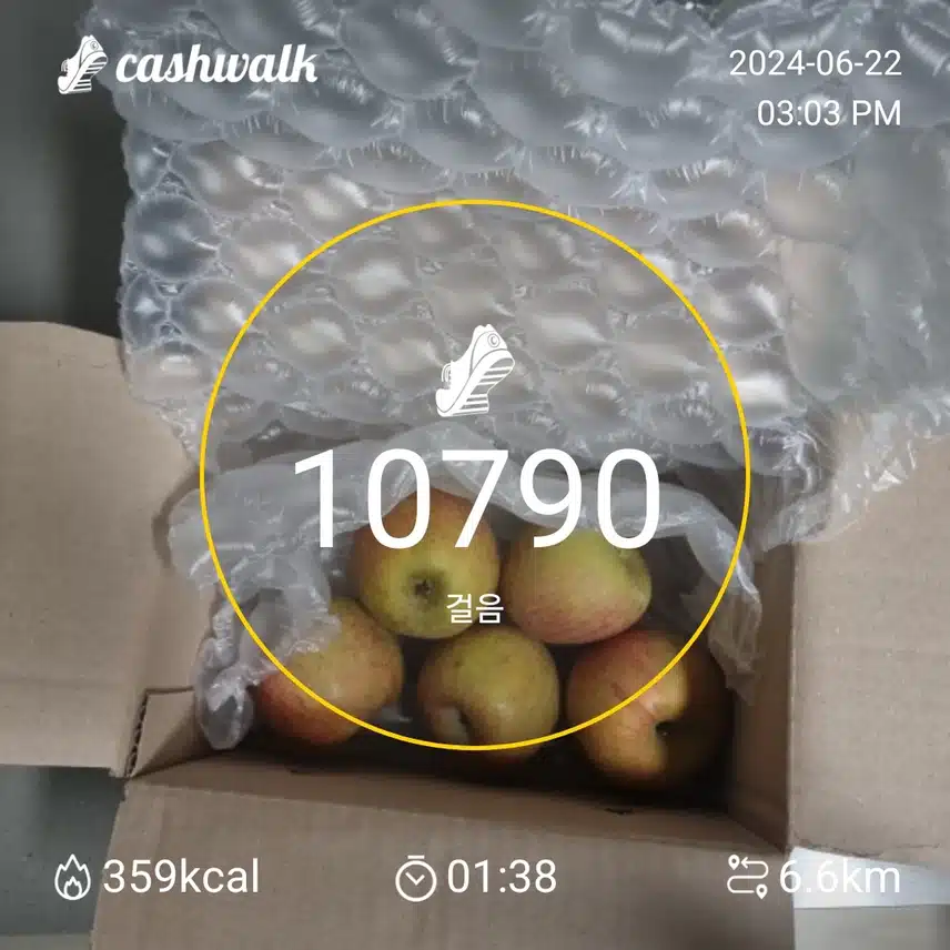 사과와 주방수납용품
