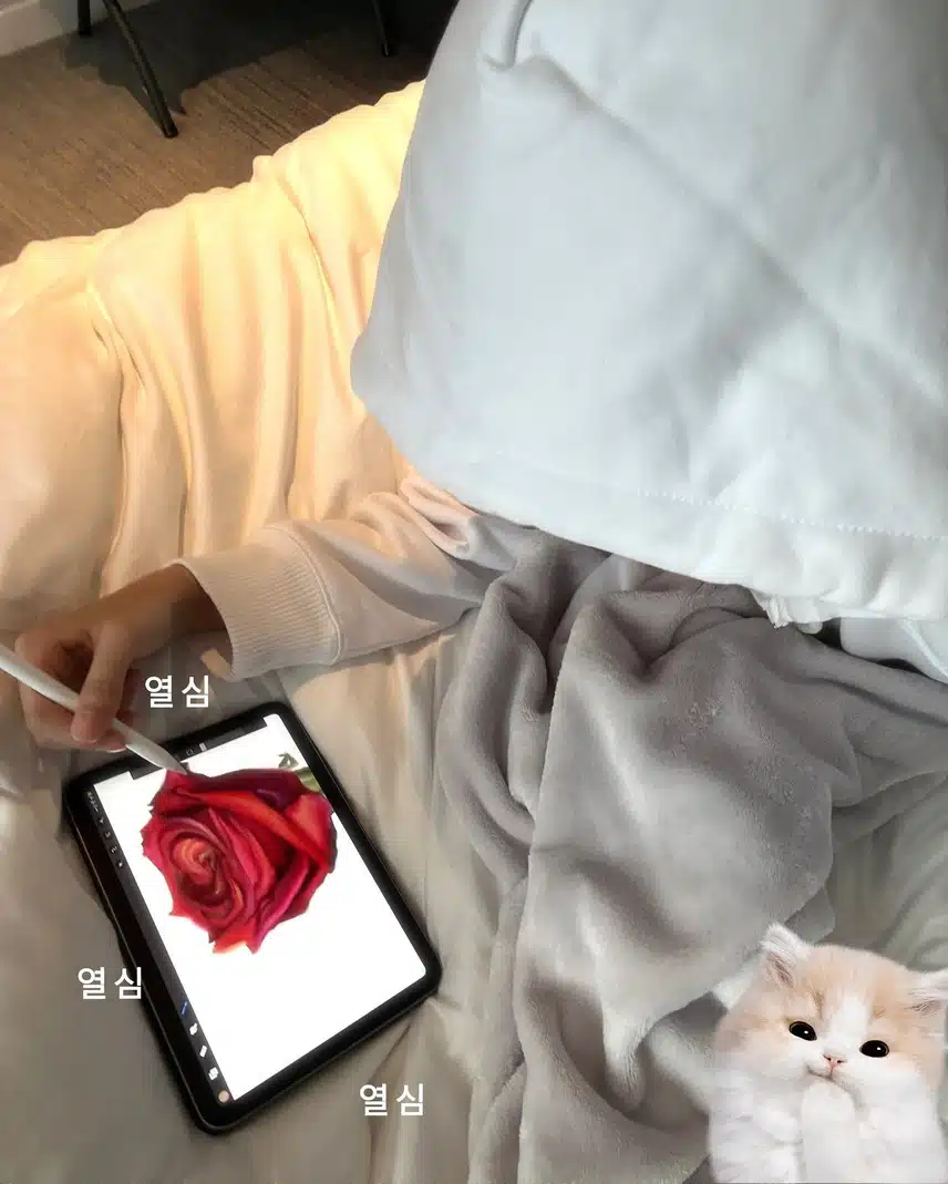 꽃을 주고받는 문화가잇다는 레이 가족들🌹