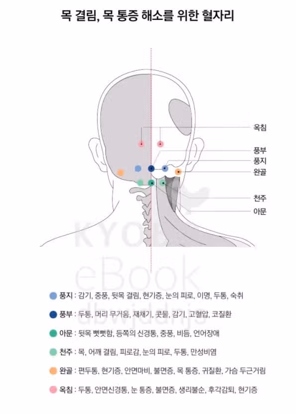 🫨수면 부족 두통을 위한 차 종류와 지압법