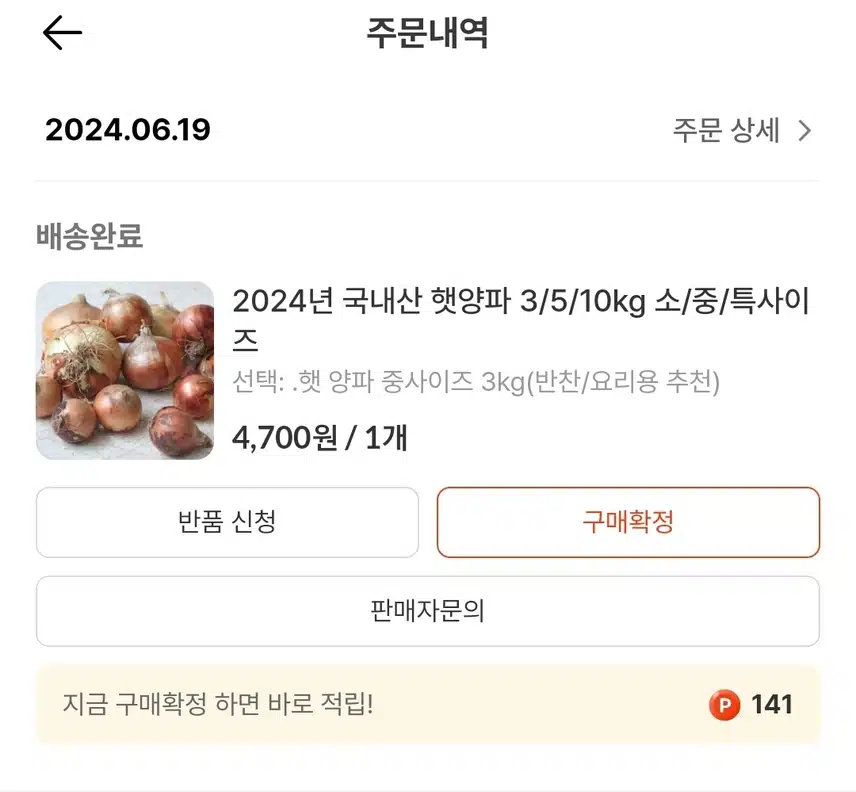 캐시딜 양파