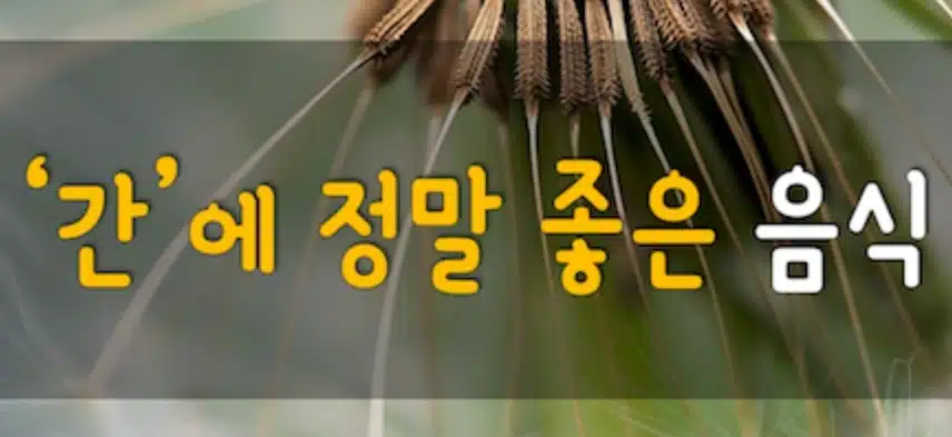 간에 좋은 음식