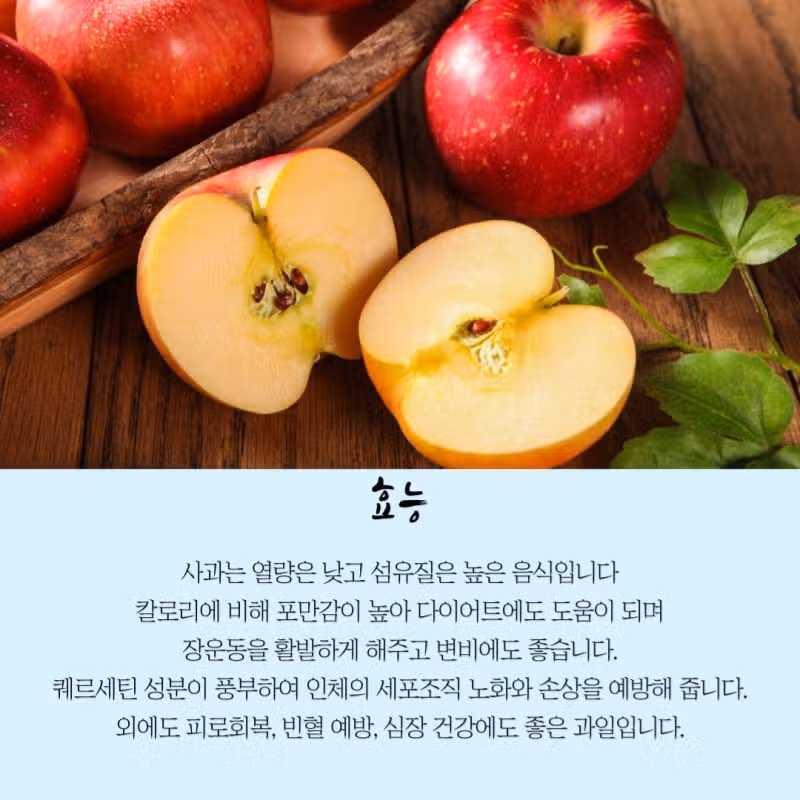 사과의 효능 
