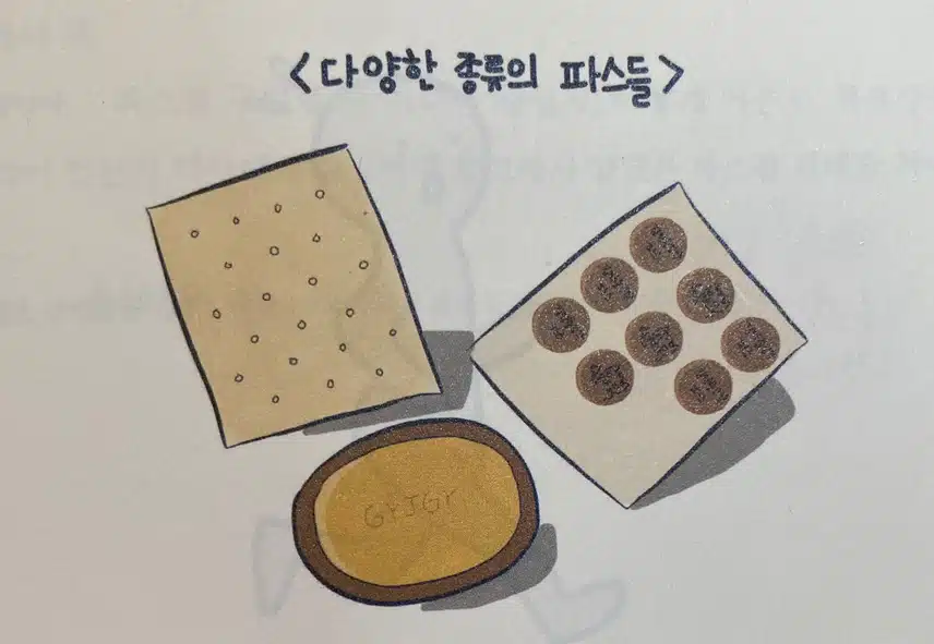 파스도 약이다?