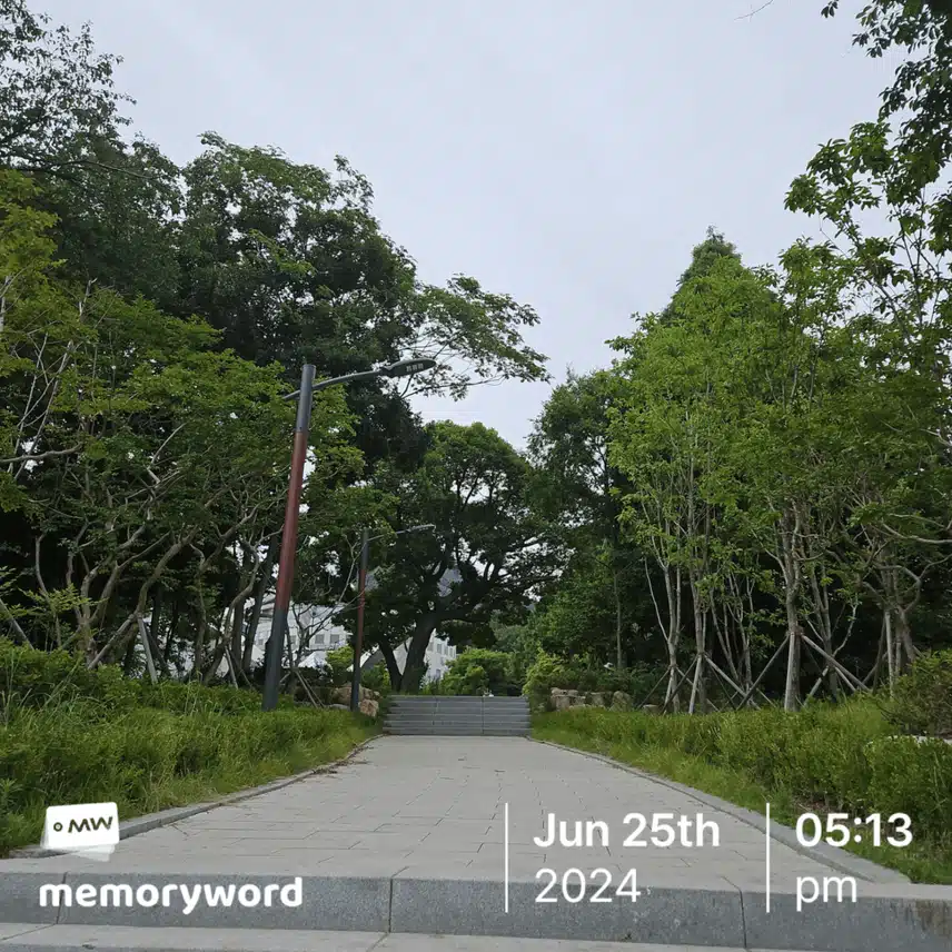 우연한 산책