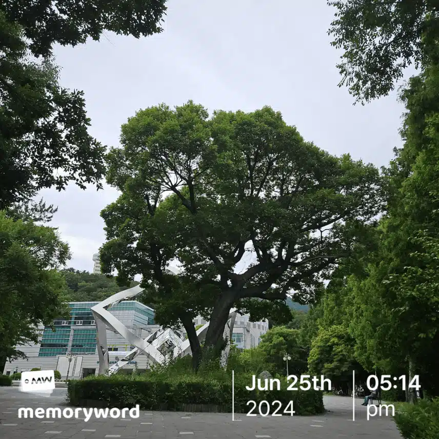우연한 산책