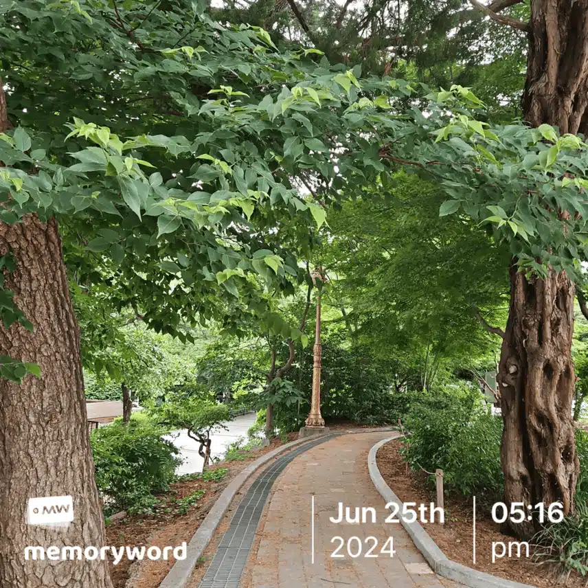 우연한 산책
