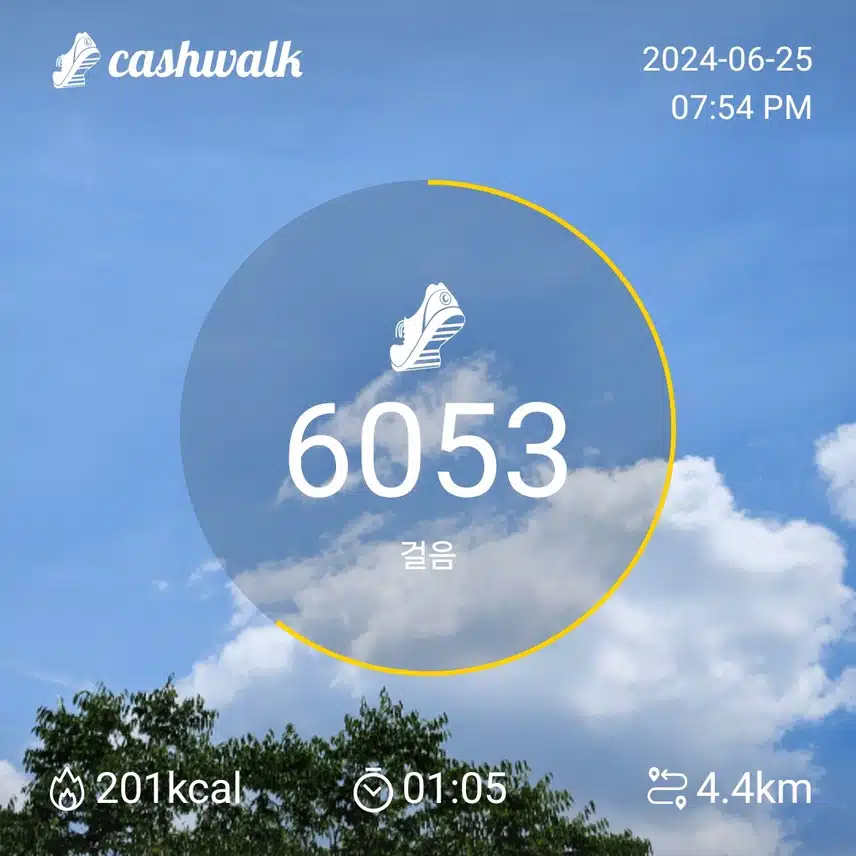 인증