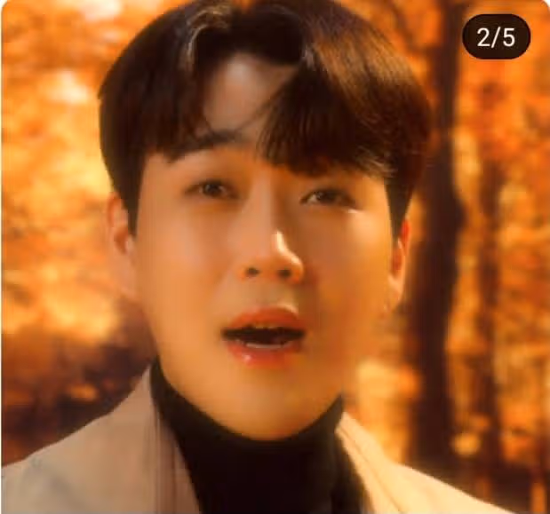 황영웅가수님의 꽃구경