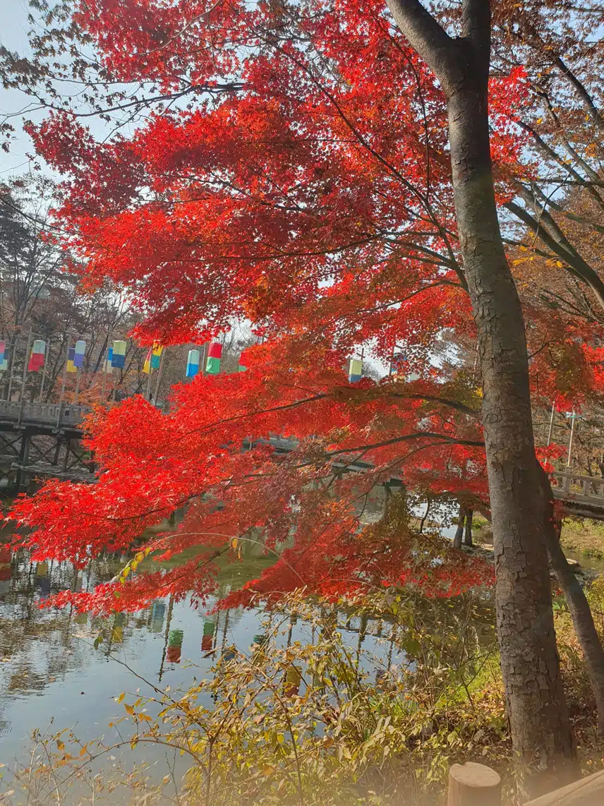 선선한 가을