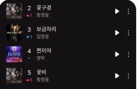 황영웅가수님의 꽃구경