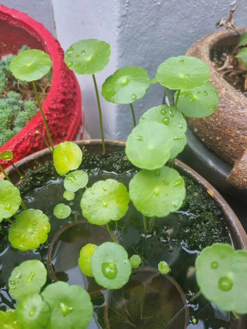 물이 좋아요