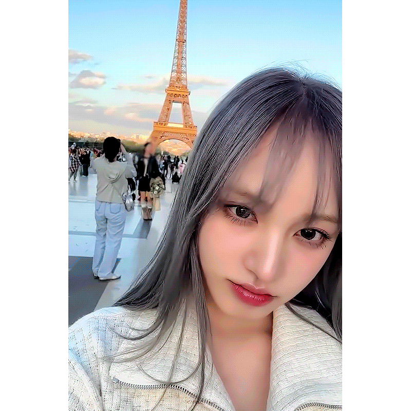 에펠탑과 리즈🗼