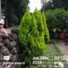 board-img