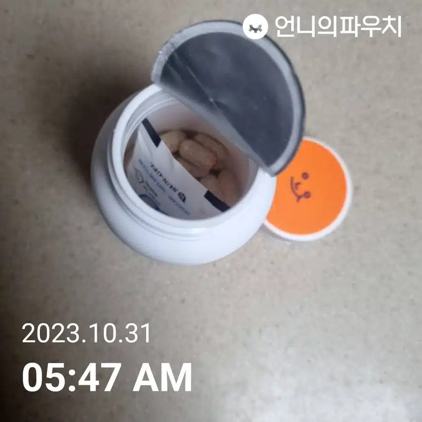 화요일 루테인