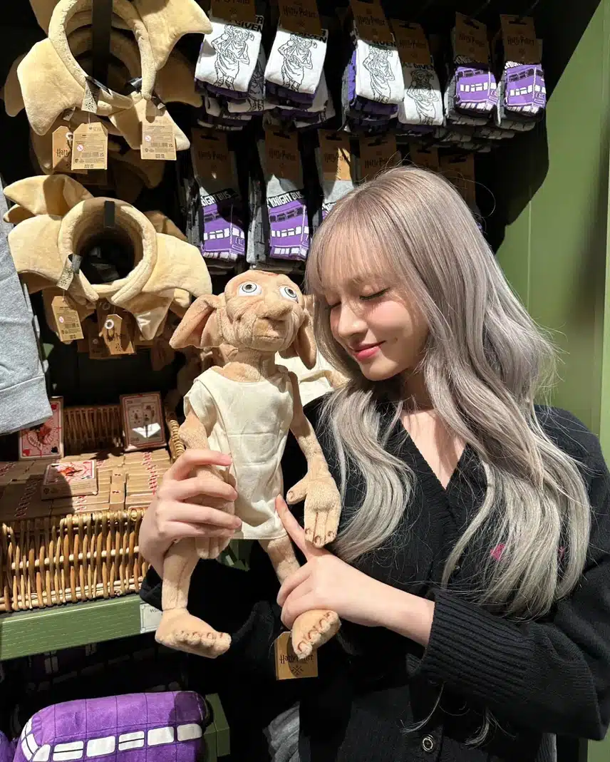 슈렉과 도비👽 리즈 인스타 업