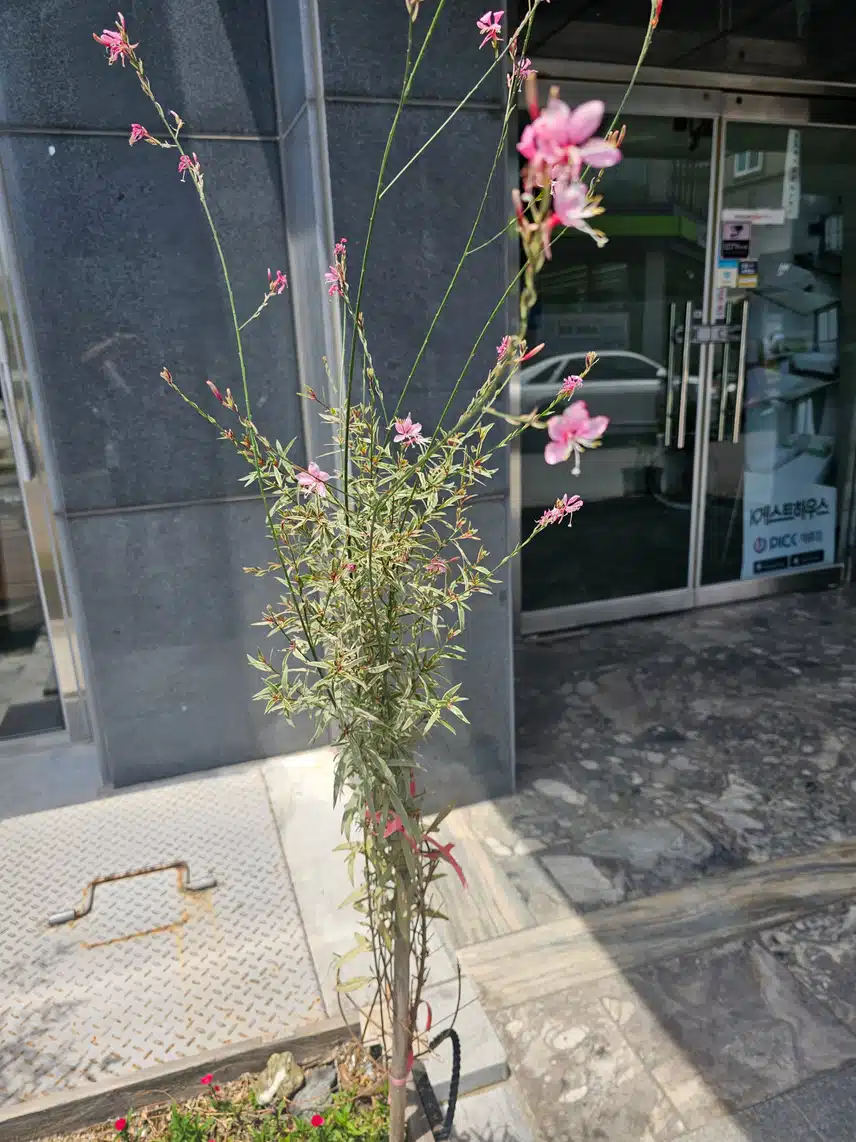 이름 검색해도 안나와요 ㅠ