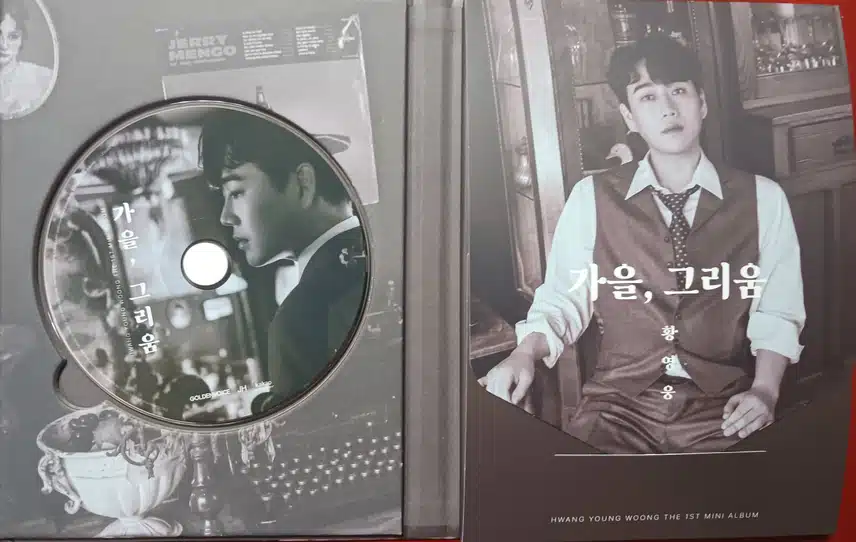 미니앨범의 멋진 가을남자