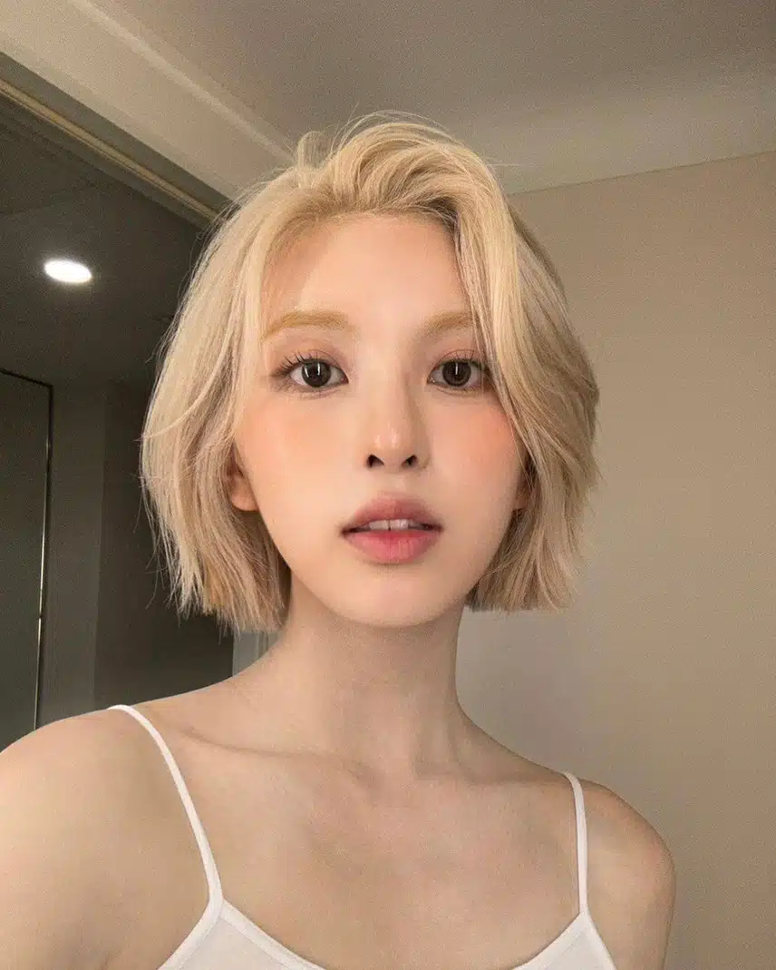 금발 배이 실화야? 