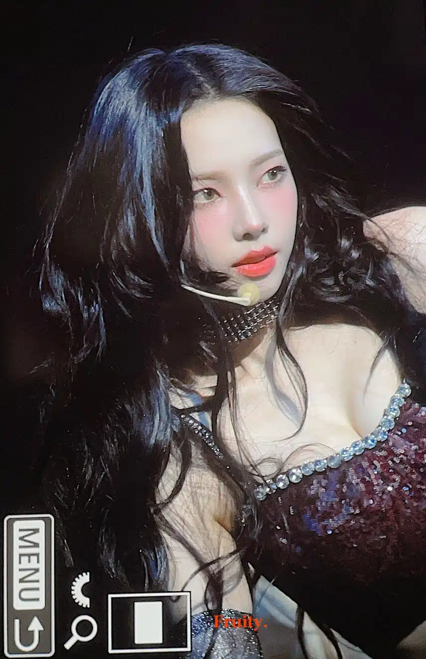 콘서트에 강림한 여신