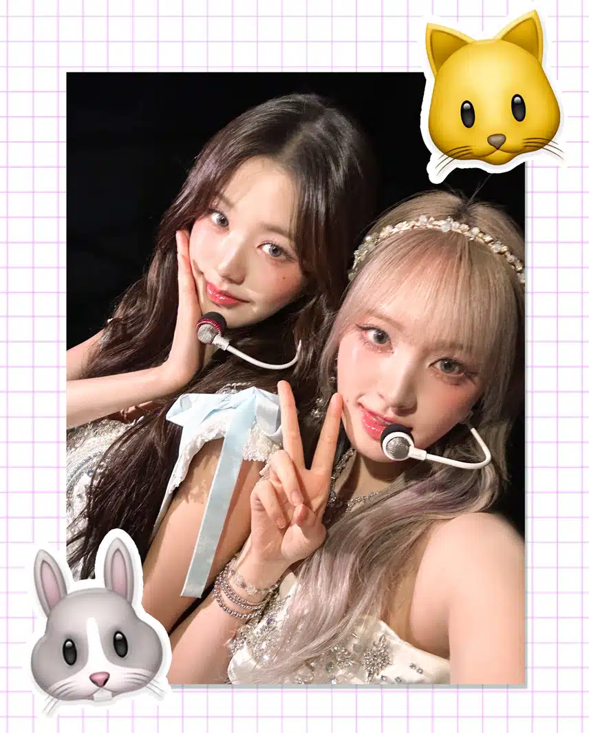 귀여운 토끼와 냥이 영리즈🩷