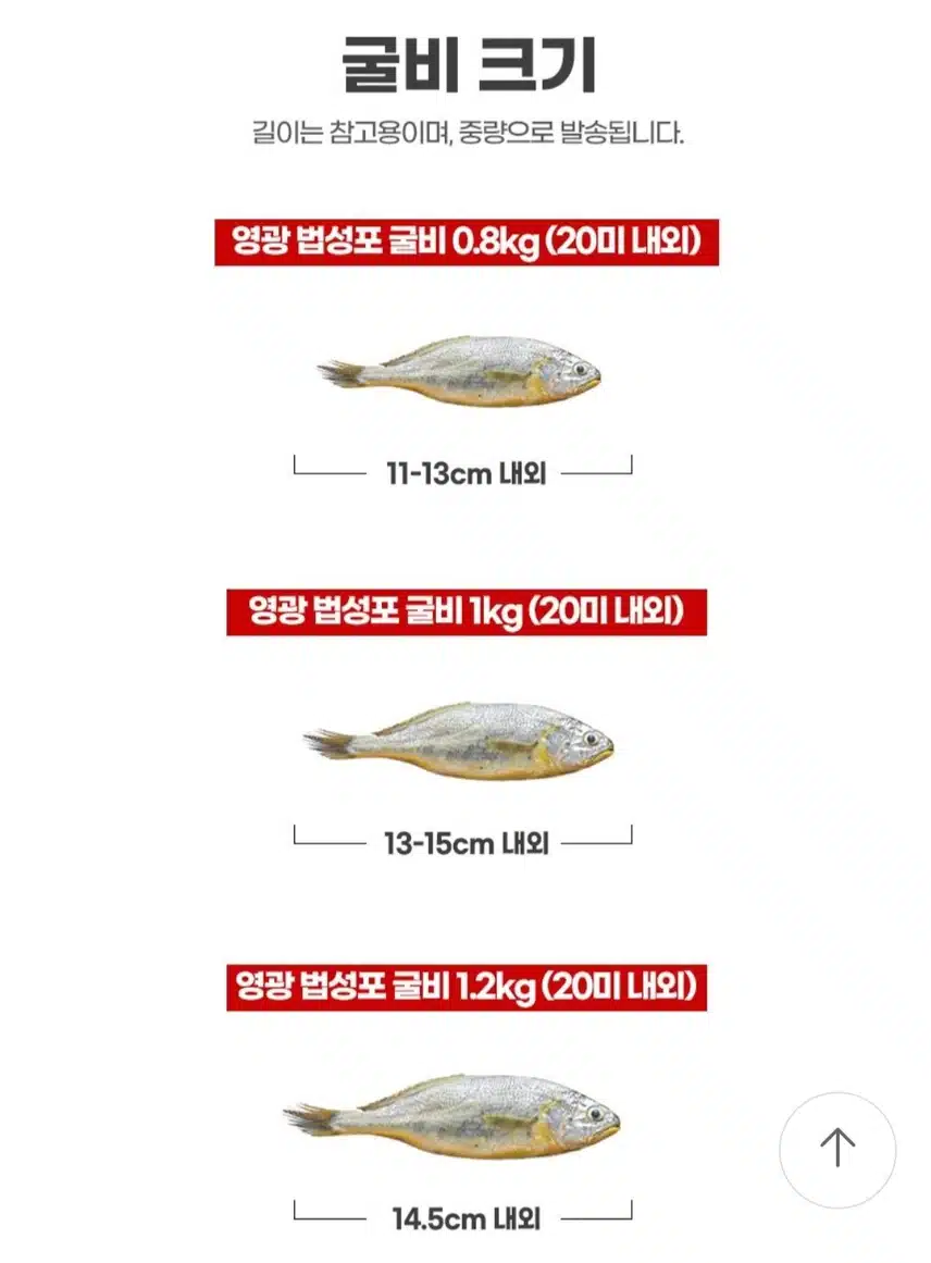밥도둑!! 참조기를 말린 영광굴비!