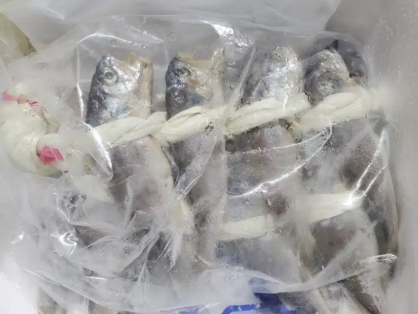 밥도둑!! 참조기를 말린 영광굴비!