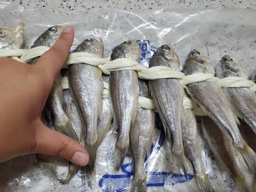 밥도둑!! 참조기를 말린 영광굴비!