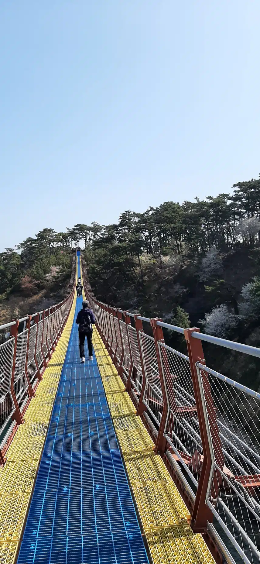 해파랑길 울산 일산해수욕장 출렁다리