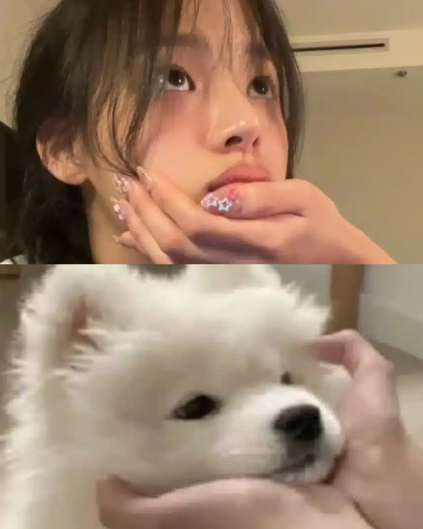 강아지 한스쿱 떠가세요🐶