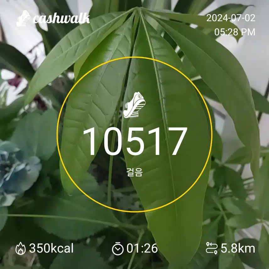 걷기 