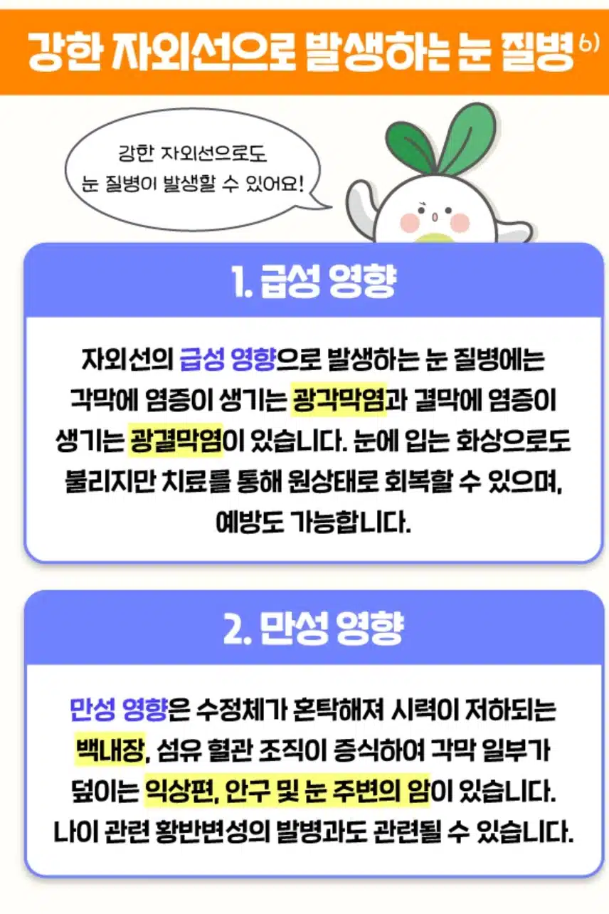 여름철 눈건강 관리법