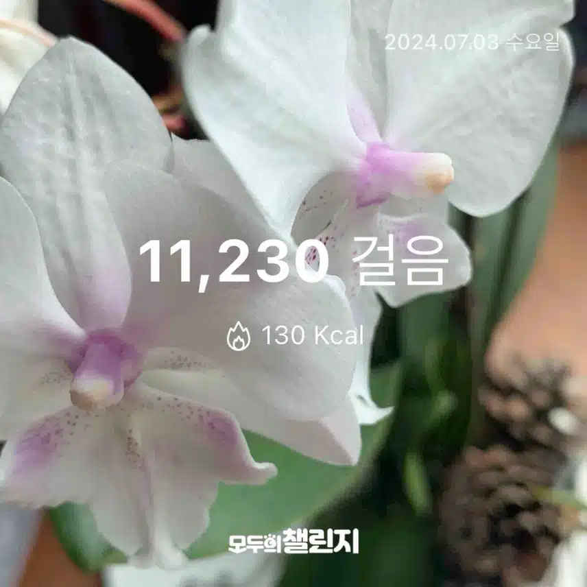 6043486.jpg