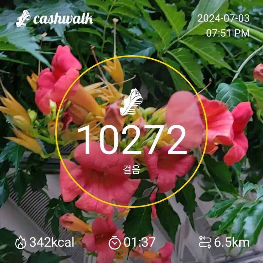 열심히 걷기 