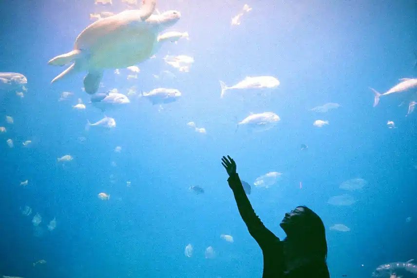 거북이와 교감하고싶은 유진이🐢💙