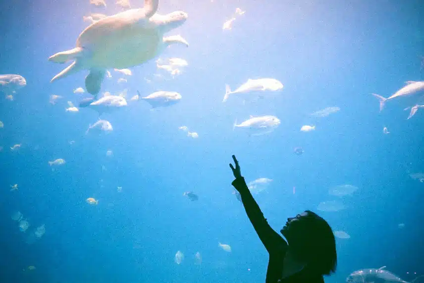 거북이와 교감하고싶은 유진이🐢💙